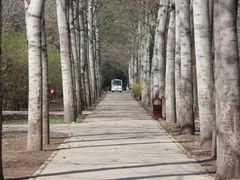 -北京麋鹿生态实验中心