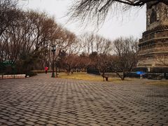 -玲珑塔公园