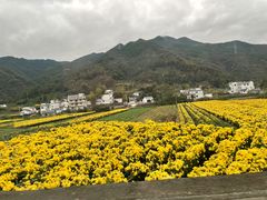 -塔川景区