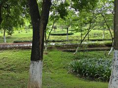 -东莞植物园