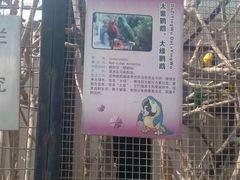 android_upload_pic-石家庄市动物园