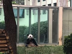 -荆州中山公园动物园