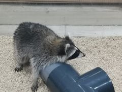 -海合安武汉极地海洋公园