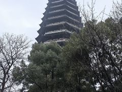 -红梅公园