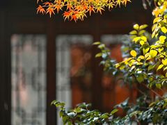 -北山街历史文化街区