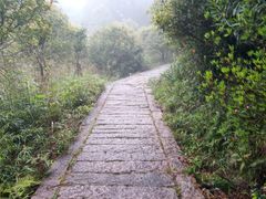 -玉苍山国家森林公园