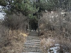 -五龙城郊森林公园