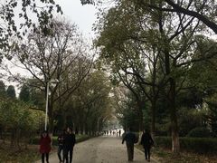 -白塘生态植物园