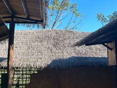 -海南槟榔谷黎苗文化旅游区