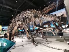 -国家自然博物馆