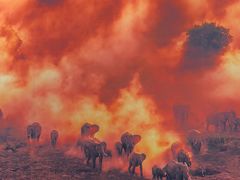 -罗红摄影艺术馆