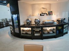 -虹桥机场国航贵宾室v8