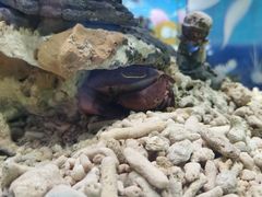 -太平洋海底世界