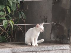 -荔湾湖公园