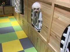 -奈斯宠物医院·核磁CT·异宠专科·内镜(中南店)