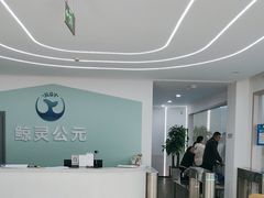 -鲸灵公元游泳中心