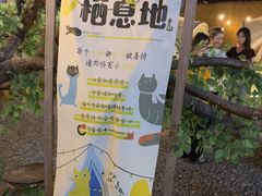 -DGE季风钓虾营地·团建·聚会