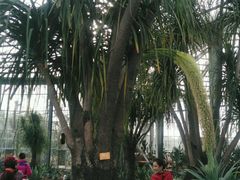 -南通洲际绿博园