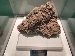 -金钉子远古世界景区