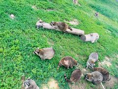 -秦皇岛野生动物园