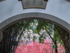 -棠湖公园