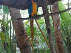 -三亚千古情景区游客中心-接待中心