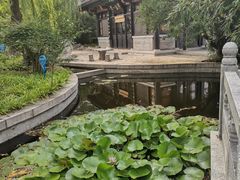 -济南国际园博园