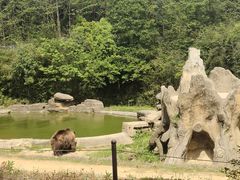 -杭州野生动物世界