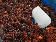 小龙虾-顺鑫石门市场