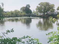 -无锡蠡湖国家湿地公园-蠡园
