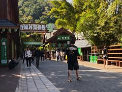 -野象谷景区