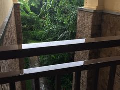 -西双版纳融创皇冠假日度假酒店