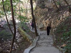 -大连天门山国家森林公园