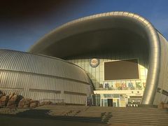 -烟台海昌鲸鲨海洋公园