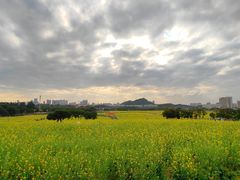 -光明小镇欢乐田园
