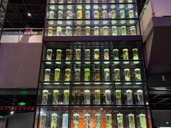 -广东中医药博物馆