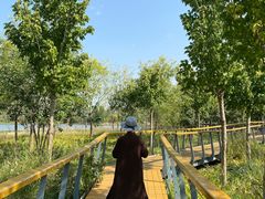 -东郊湿地公园