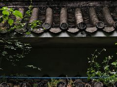 -广州兰圃
