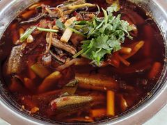 -高坎一品甲鱼庄(两河店)