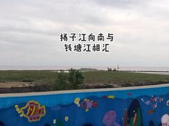 -南汇嘴观海公园