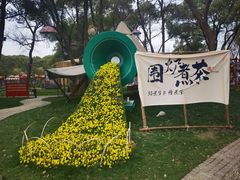-无锡梅园公园