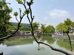 -嘉定紫藤园