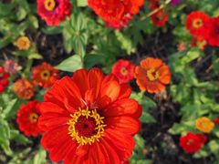 -洋湖国家湿地公园