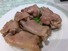 -丁老爷子苏香圆