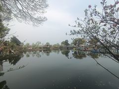 -无锡蠡湖国家湿地公园-蠡园