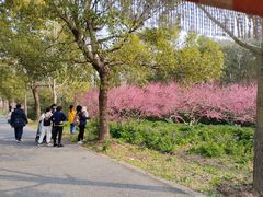 -上海海湾国家森林公园