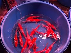 -中环花鸟鱼虫市场