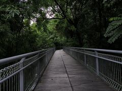 -佛山华盖山公园