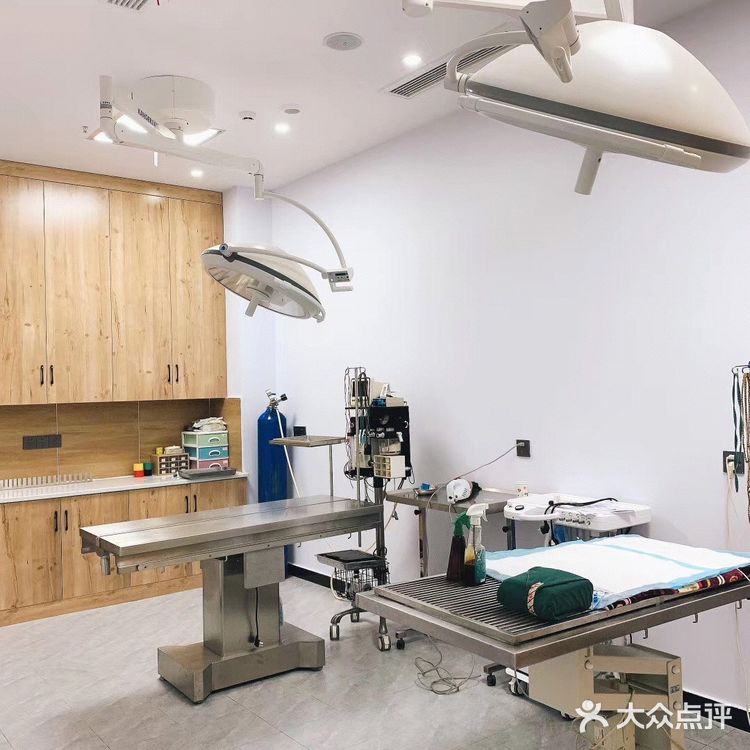 一家有温度的宠物医院🐈欣宠宠物🦮