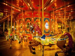 -锦江乐园舞狸花花游园会(夜场专享)